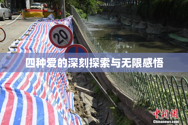 四种爱的深刻探索与无限感悟