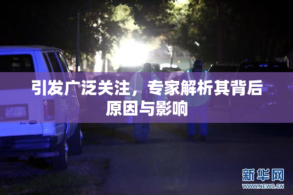 引发广泛关注，专家解析其背后原因与影响