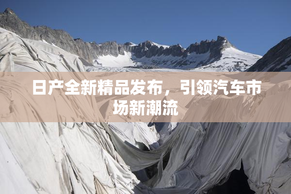 日产全新精品发布，引领汽车市场新潮流