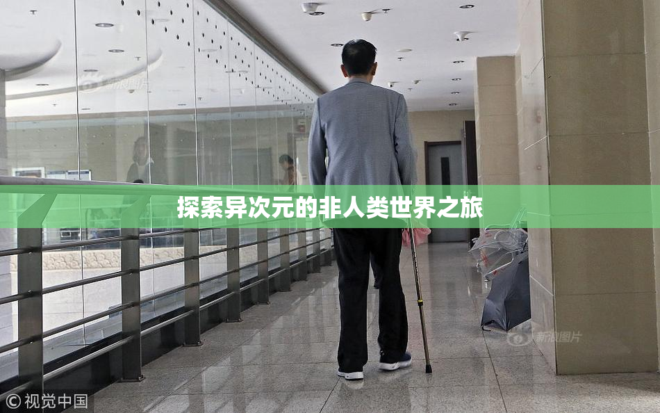 探索异次元的非人类世界之旅