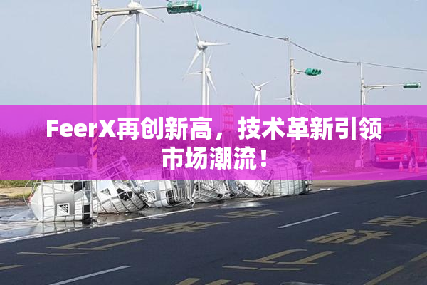 FeerX再创新高，技术革新引领市场潮流！
