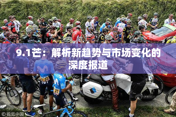 9.1芒：解析新趋势与市场变化的深度报道