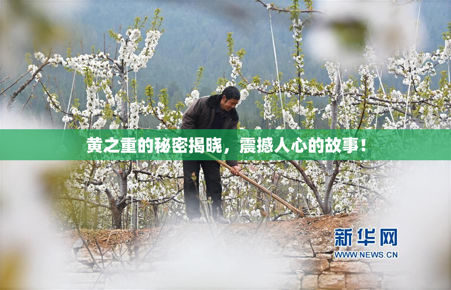 黄之重的秘密揭晓，震撼人心的故事！