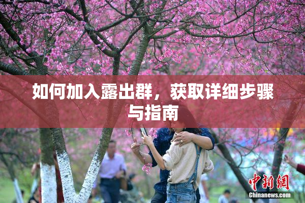 如何加入露出群，获取详细步骤与指南