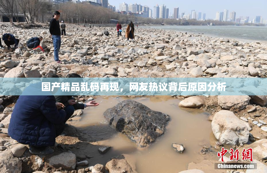 国产精品乱码再现，网友热议背后原因分析