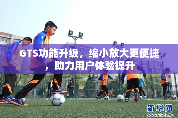 GTS功能升级，缩小放大更便捷，助力用户体验提升