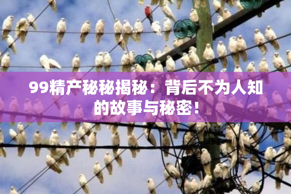 99精产秘秘揭秘：背后不为人知的故事与秘密！