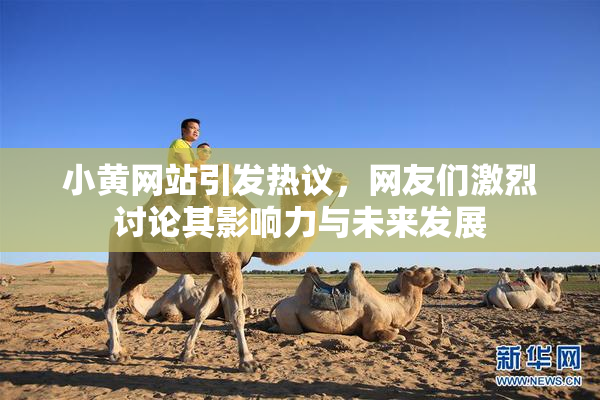 小黄网站引发热议，网友们激烈讨论其影响力与未来发展