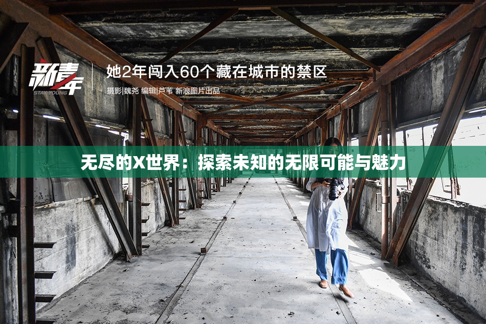 无尽的X世界：探索未知的无限可能与魅力