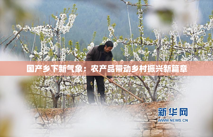 国产乡下新气象：农产品带动乡村振兴新篇章