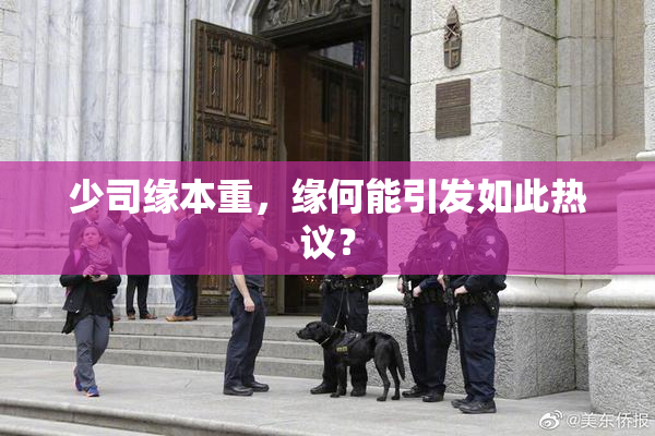 少司缘本重，缘何能引发如此热议？