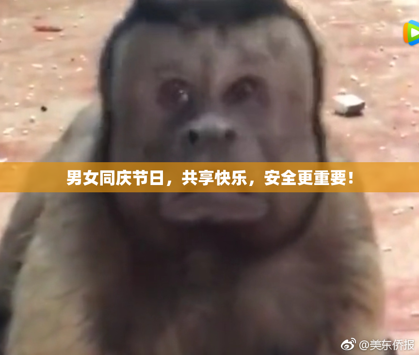 男女同庆节日，共享快乐，安全更重要！
