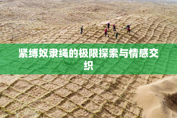 紧缚奴隶绳的极限探索与情感交织