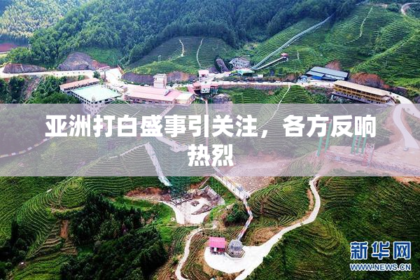 亚洲打白盛事引关注，各方反响热烈
