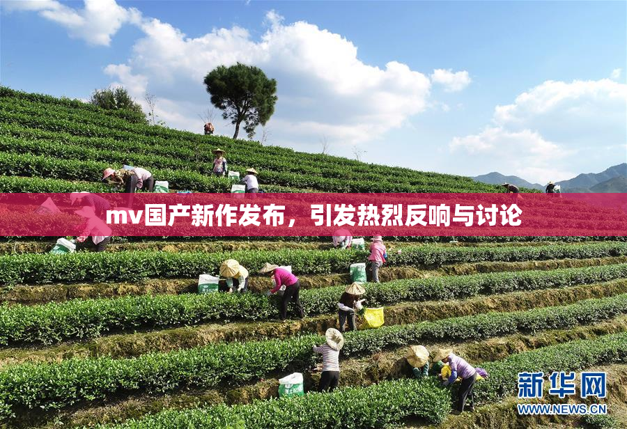 mv国产新作发布，引发热烈反响与讨论