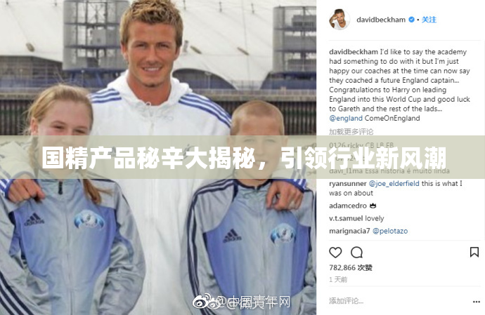国精产品秘辛大揭秘，引领行业新风潮