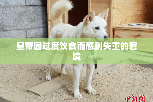 皇帝因过度饮食而感到失重的窘境