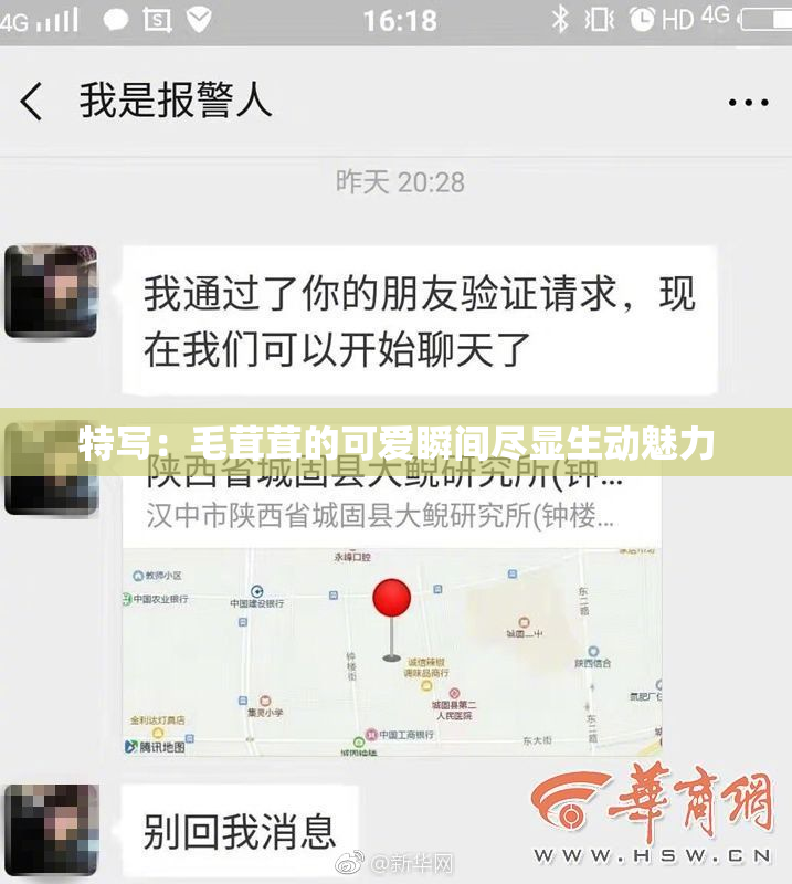 特写：毛茸茸的可爱瞬间尽显生动魅力