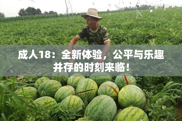成人18：全新体验，公平与乐趣并存的时刻来临！