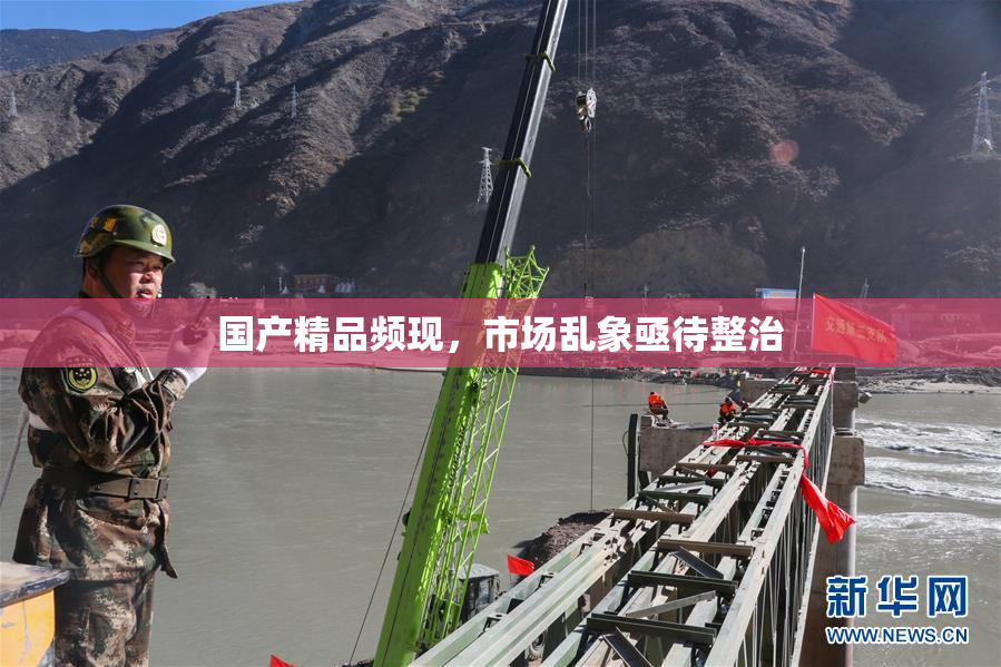 国产精品频现，市场乱象亟待整治