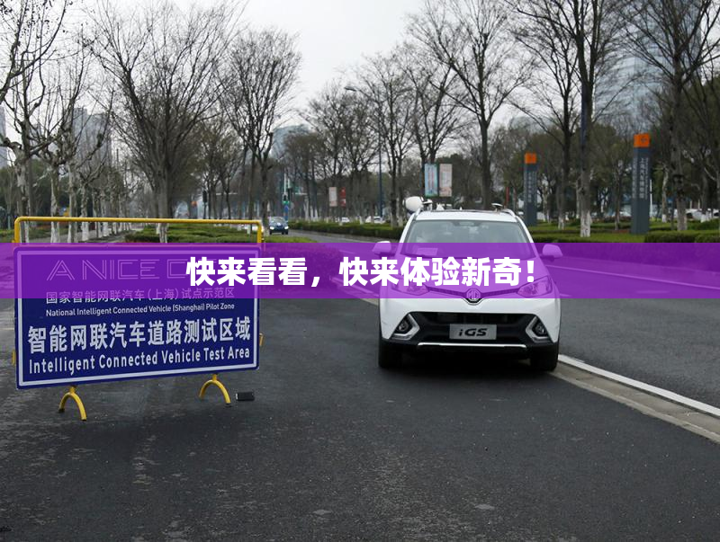 快来看看，快来体验新奇！