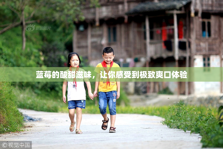蓝莓的酸甜滋味，让你感受到极致爽口体验