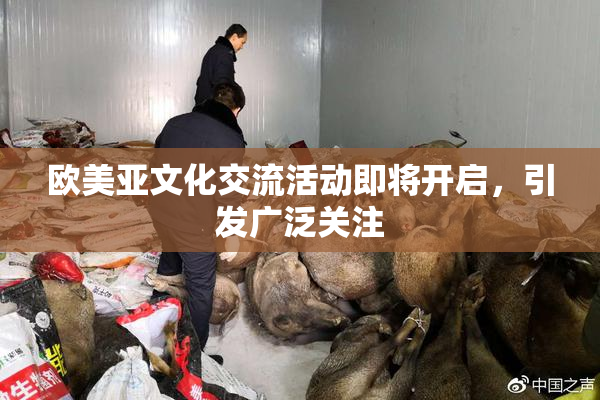 欧美亚文化交流活动即将开启，引发广泛关注
