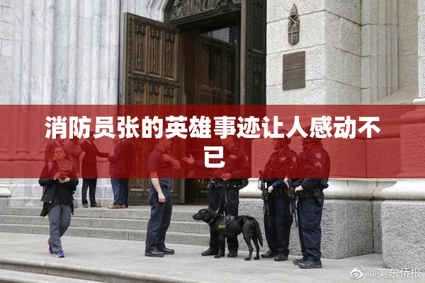 消防员张的英雄事迹让人感动不已