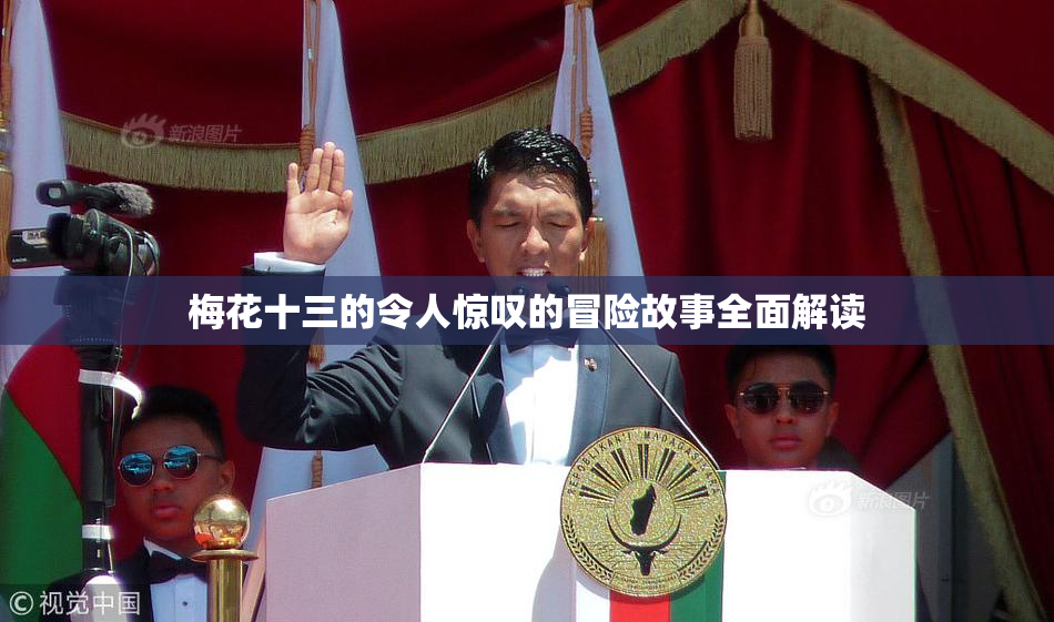 梅花十三的令人惊叹的冒险故事全面解读