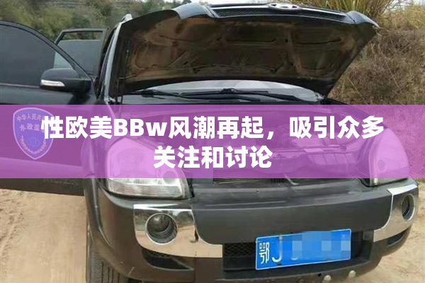 性欧美BBw风潮再起，吸引众多关注和讨论
