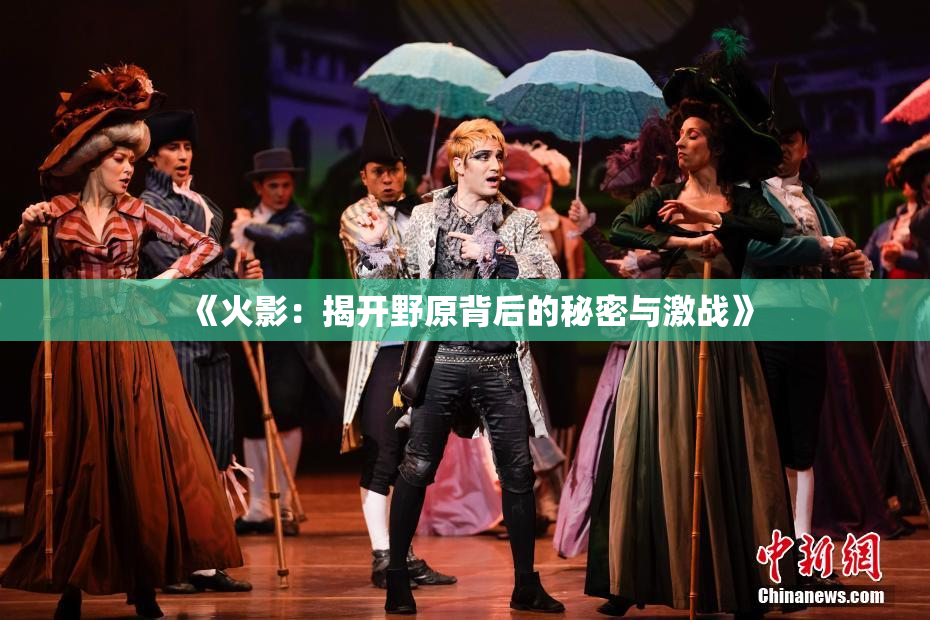 《火影：揭开野原背后的秘密与激战》