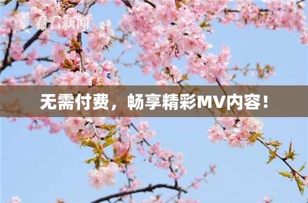 无需付费，畅享精彩MV内容！