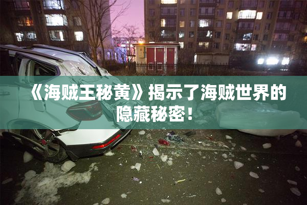 《海贼王秘黄》揭示了海贼世界的隐藏秘密！