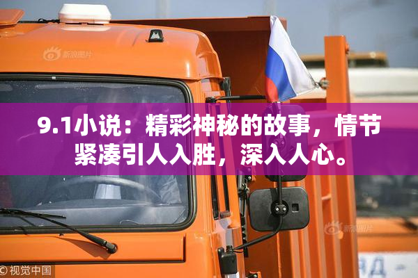 9.1小说：精彩神秘的故事，情节紧凑引人入胜，深入人心。