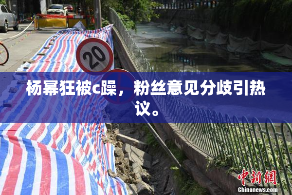 杨幂狂被c躁，粉丝意见分歧引热议。