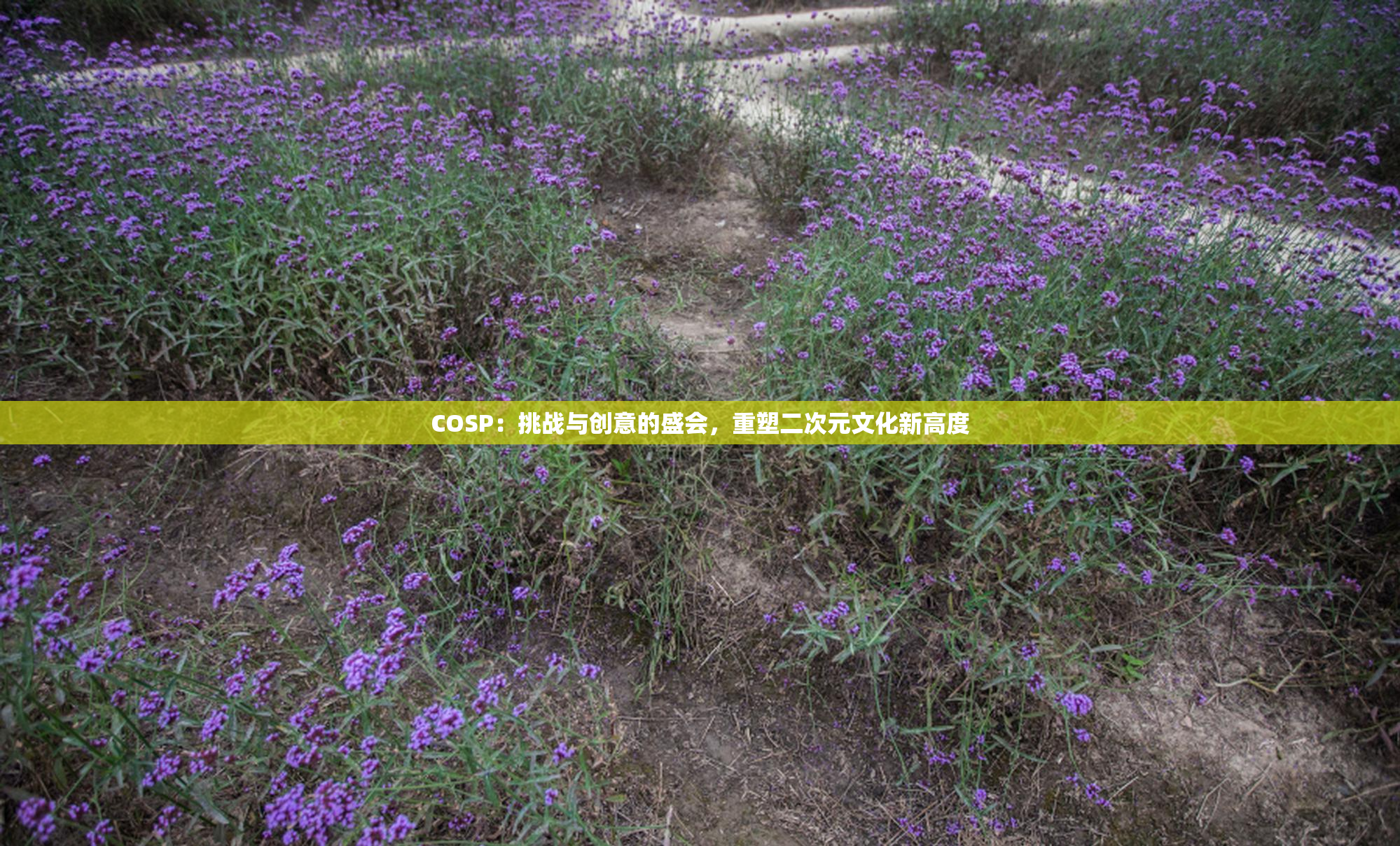 COSP：挑战与创意的盛会，重塑二次元文化新高度