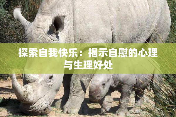 探索自我快乐：揭示自慰的心理与生理好处