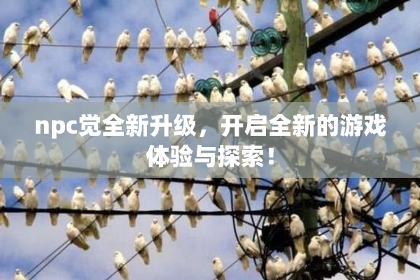 npc觉全新升级，开启全新的游戏体验与探索！