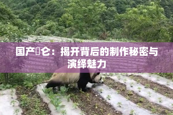 国产婬仑：揭开背后的制作秘密与演绎魅力