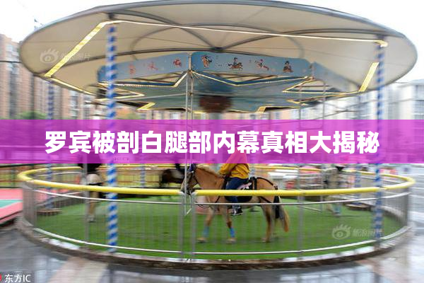 罗宾被剖白腿部内幕真相大揭秘