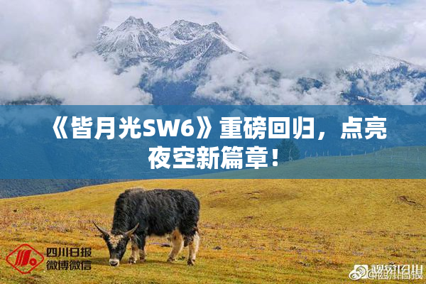 《皆月光SW6》重磅回归，点亮夜空新篇章！