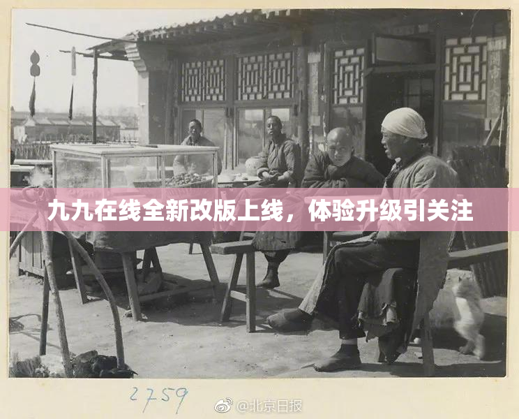 九九在线全新改版上线，体验升级引关注