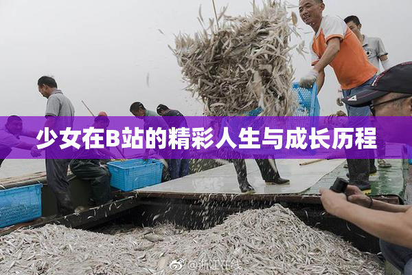 少女在B站的精彩人生与成长历程