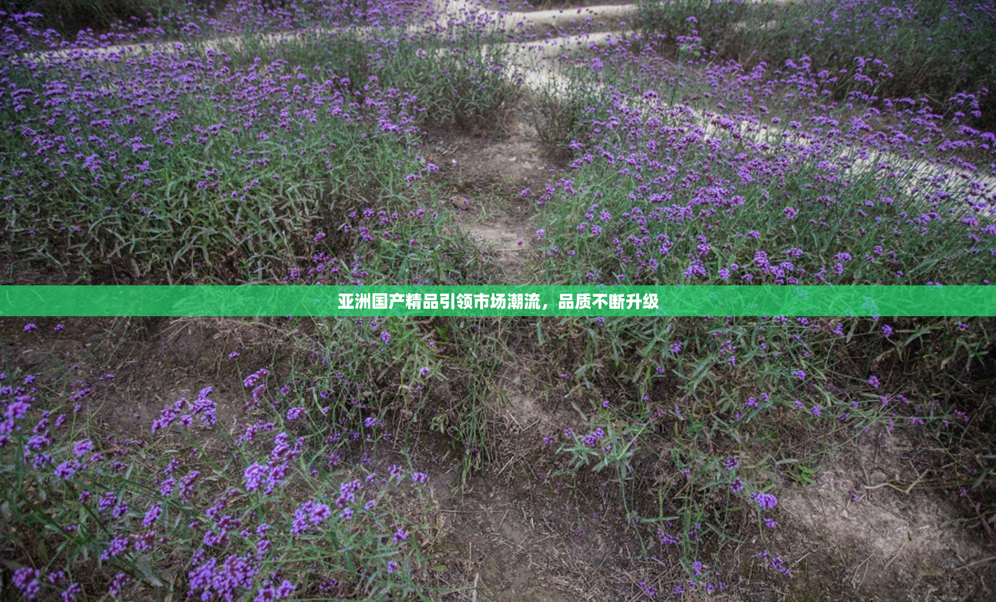 亚洲国产精品引领市场潮流，品质不断升级