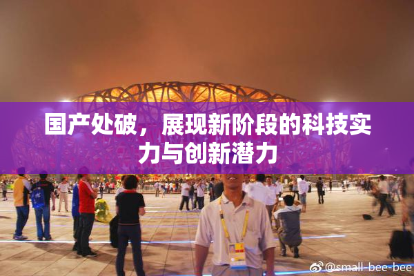 国产处破，展现新阶段的科技实力与创新潜力