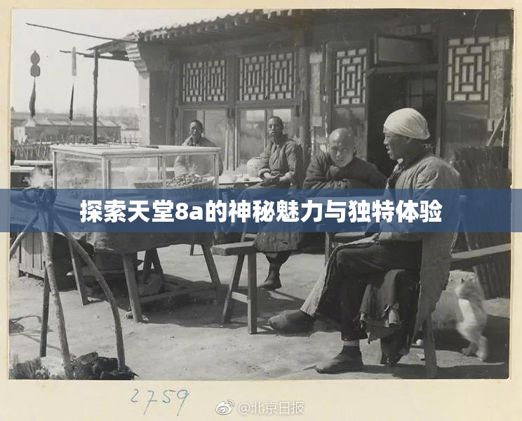 探索天堂8a的神秘魅力与独特体验