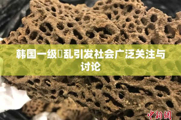 韩国一级婬乱引发社会广泛关注与讨论