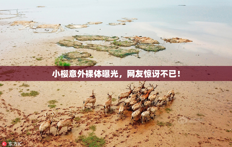 小樱意外裸体曝光，网友惊讶不已！
