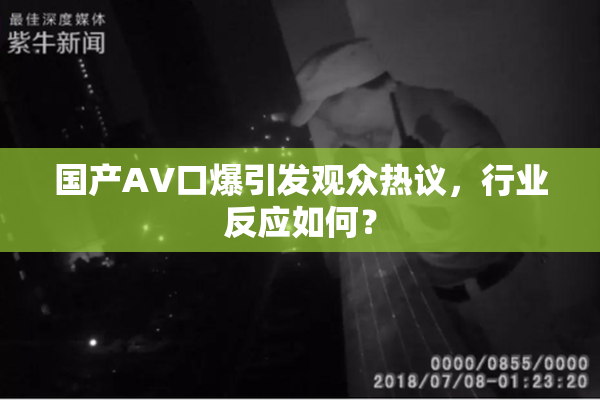国产AV口爆引发观众热议，行业反应如何？