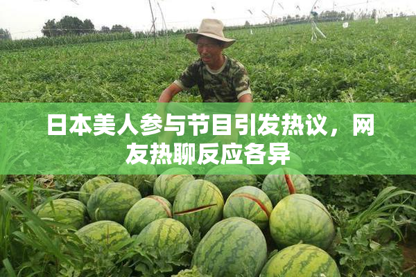 日本美人参与节目引发热议，网友热聊反应各异